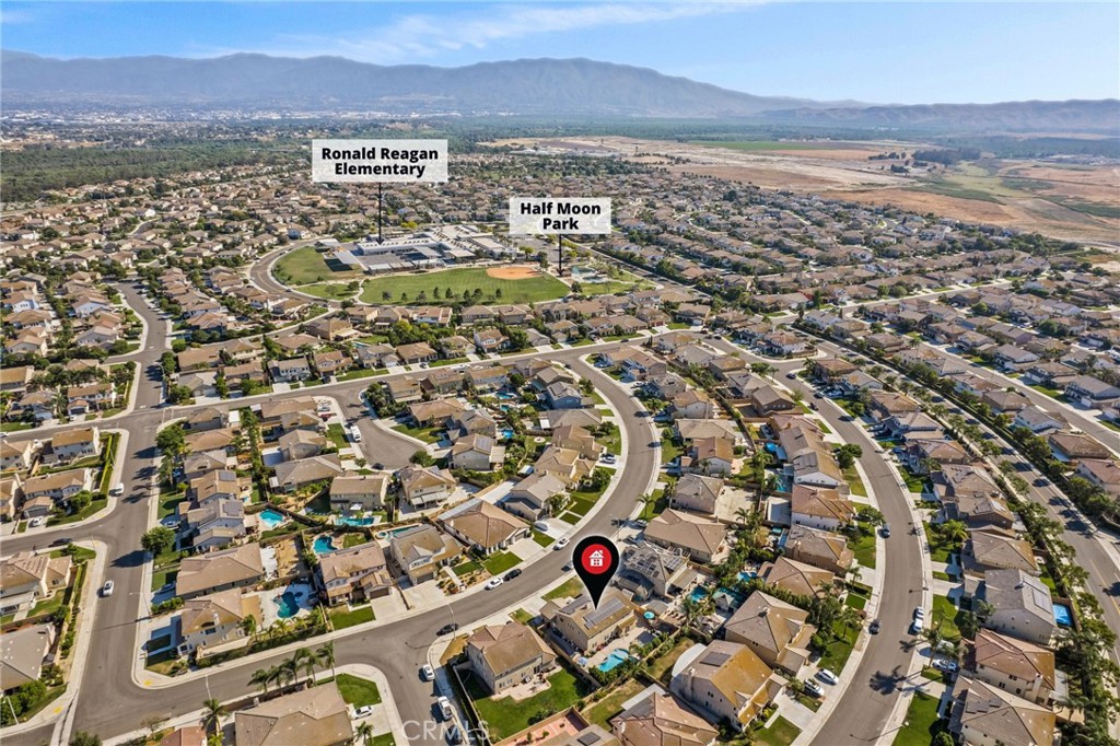 14338 Wolfhound Street