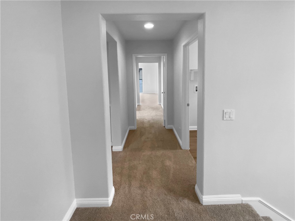 8062 Holland Park Street