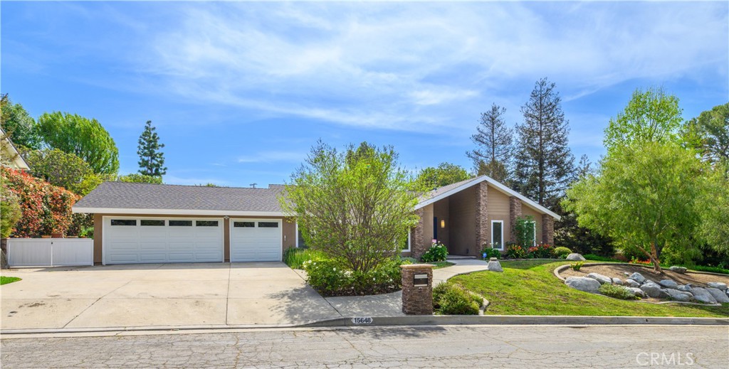 15648 Olive Branch Drive