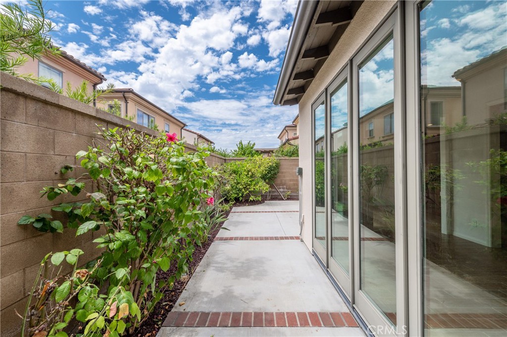 71 Waterleaf
