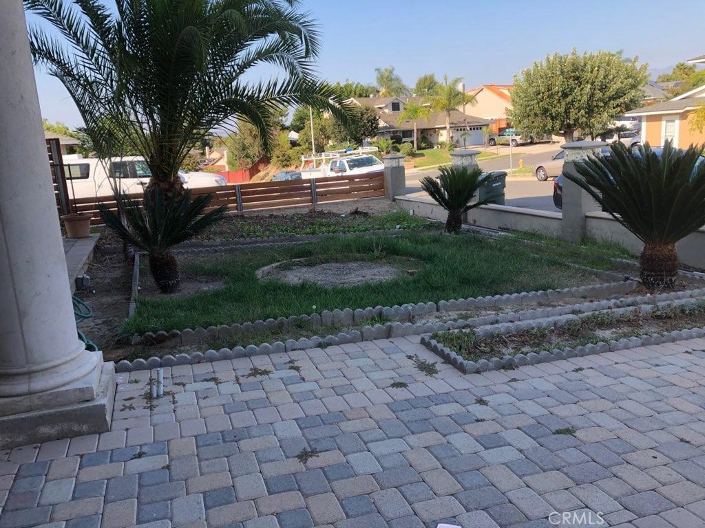 25231 De Salle Street