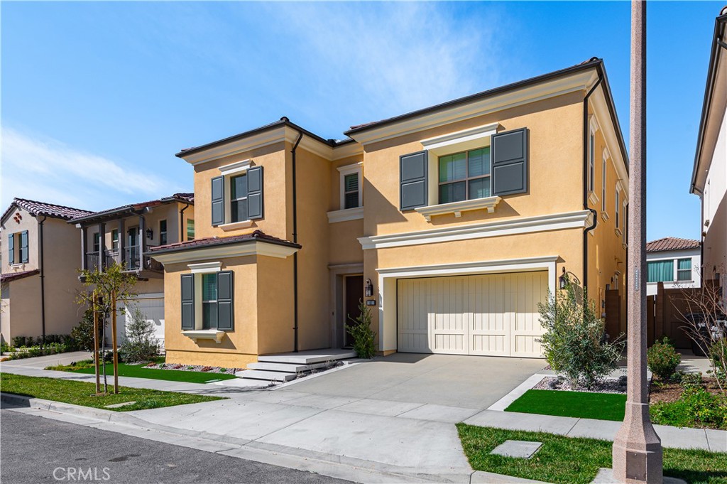 61 Cardamine