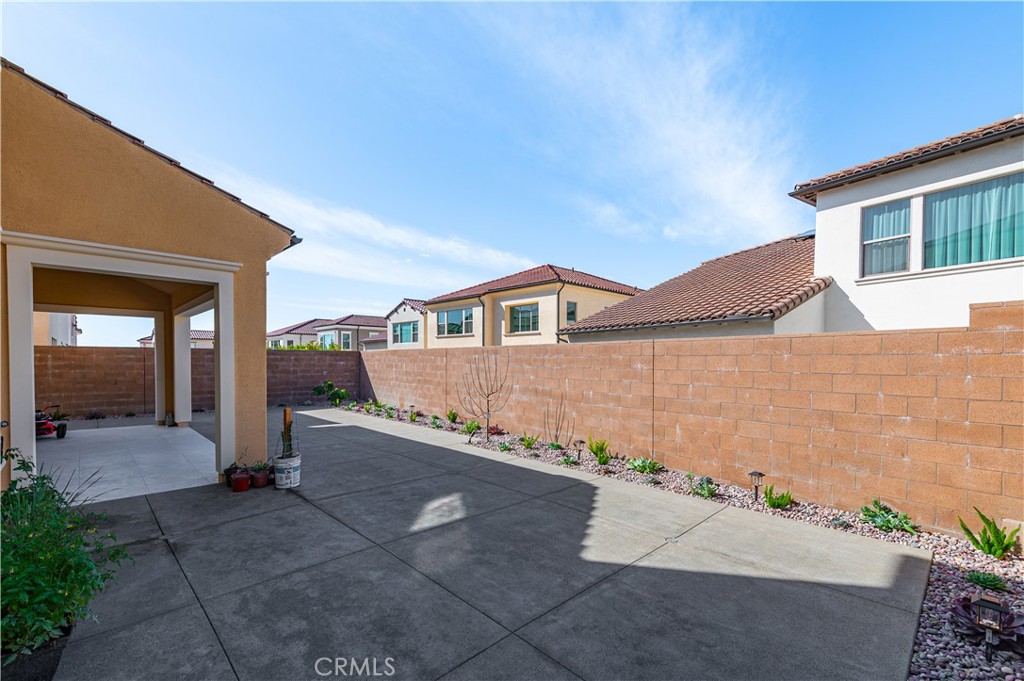 61 Cardamine