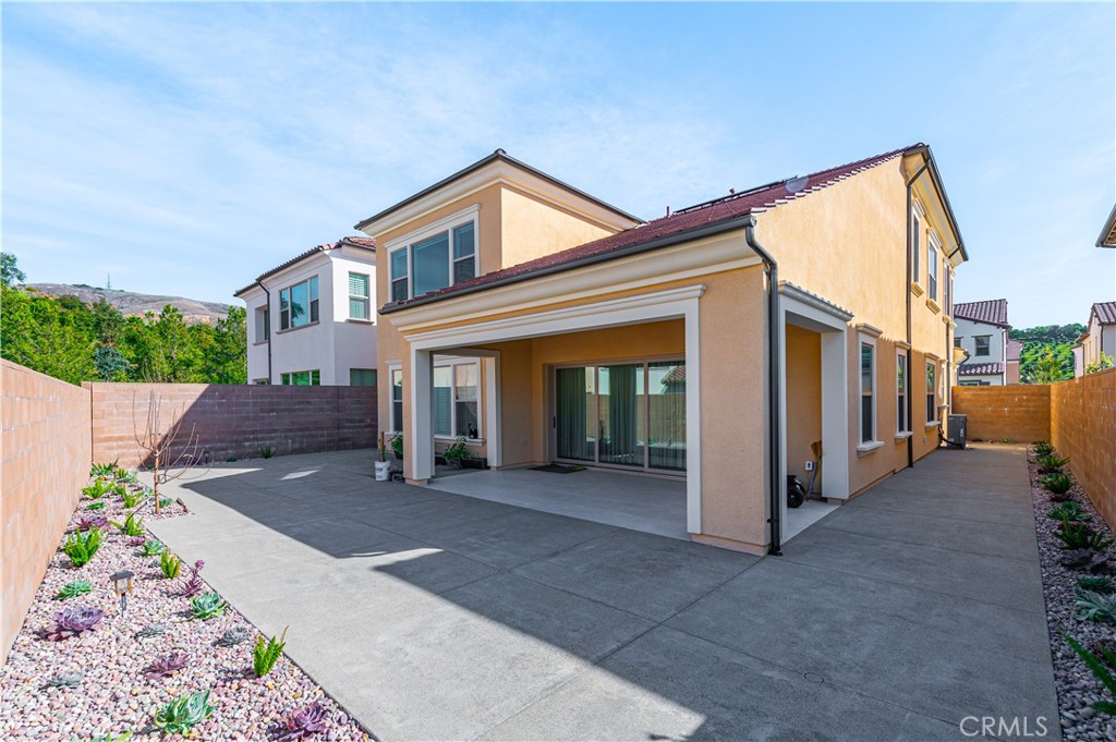 61 Cardamine