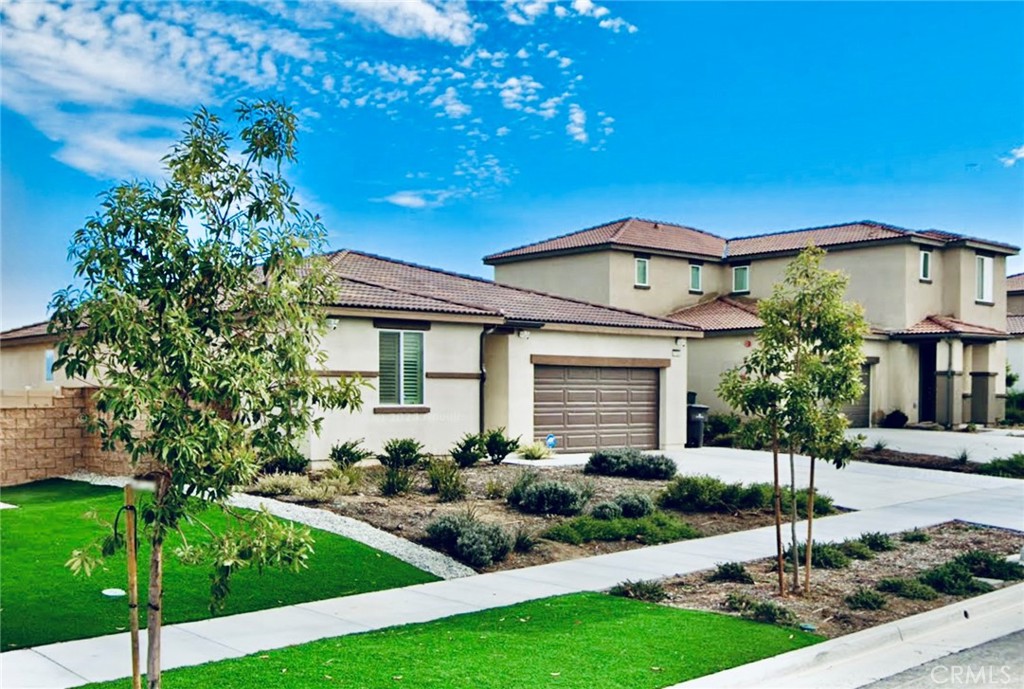 7132 Dimaggio Street