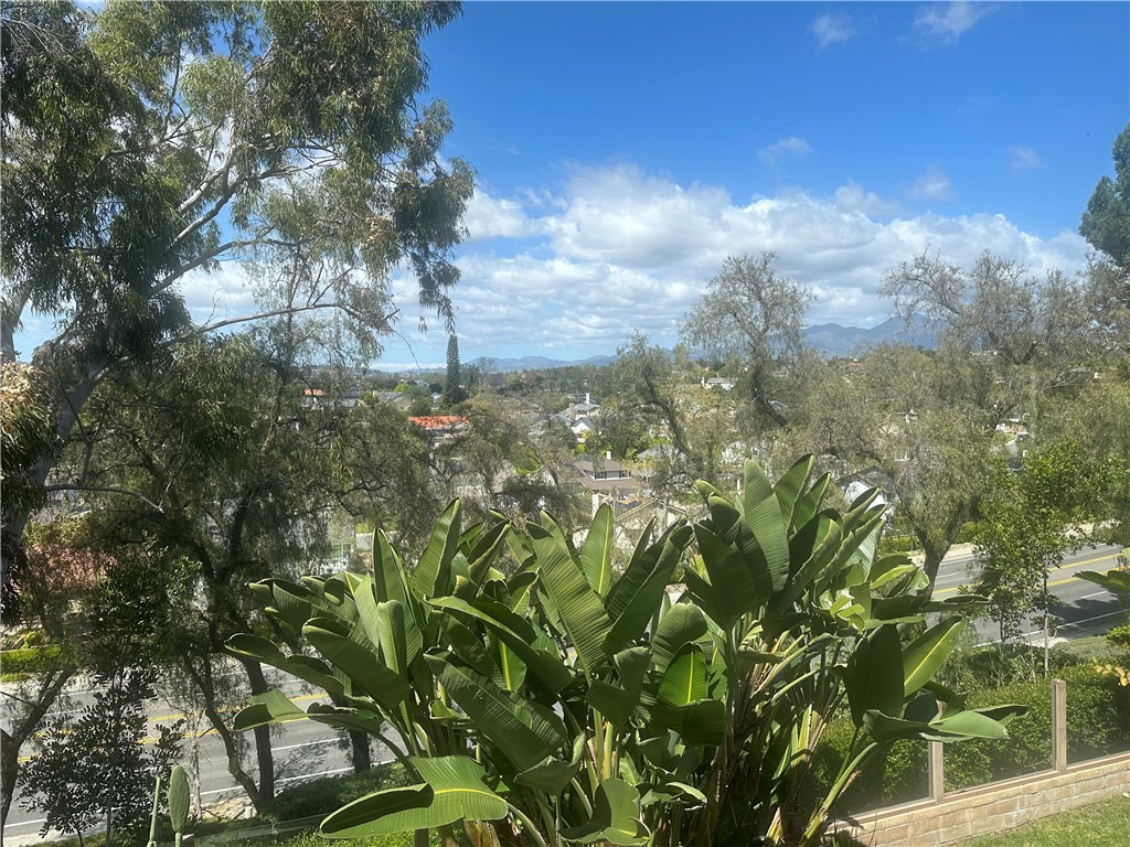 65 Cantata Drive