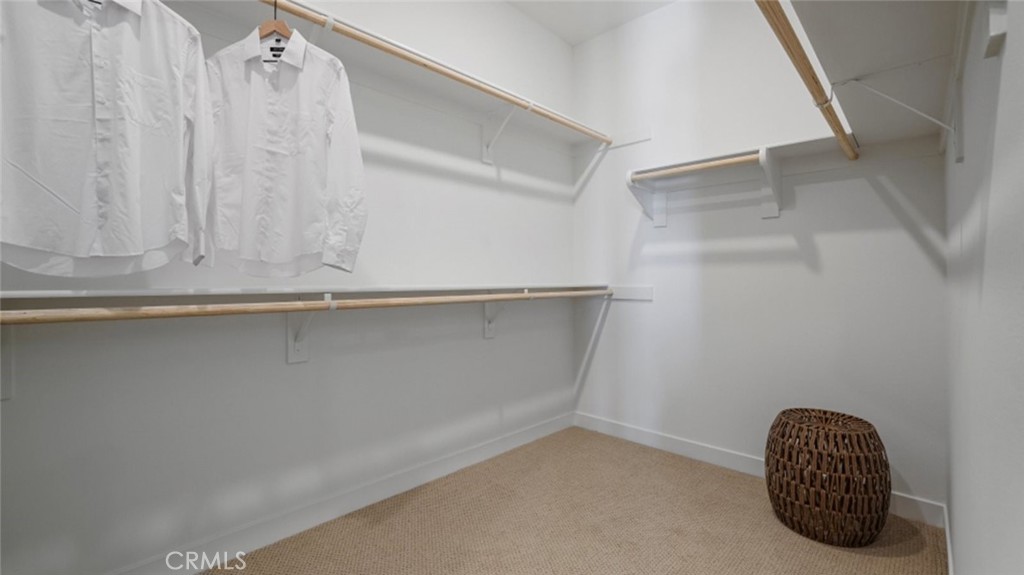 1295 Hollyleaf Terrace