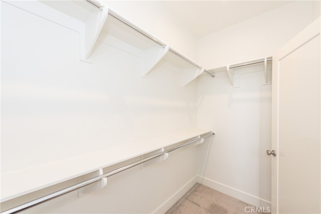 119 Plum Lily