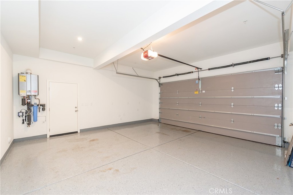 119 Plum Lily
