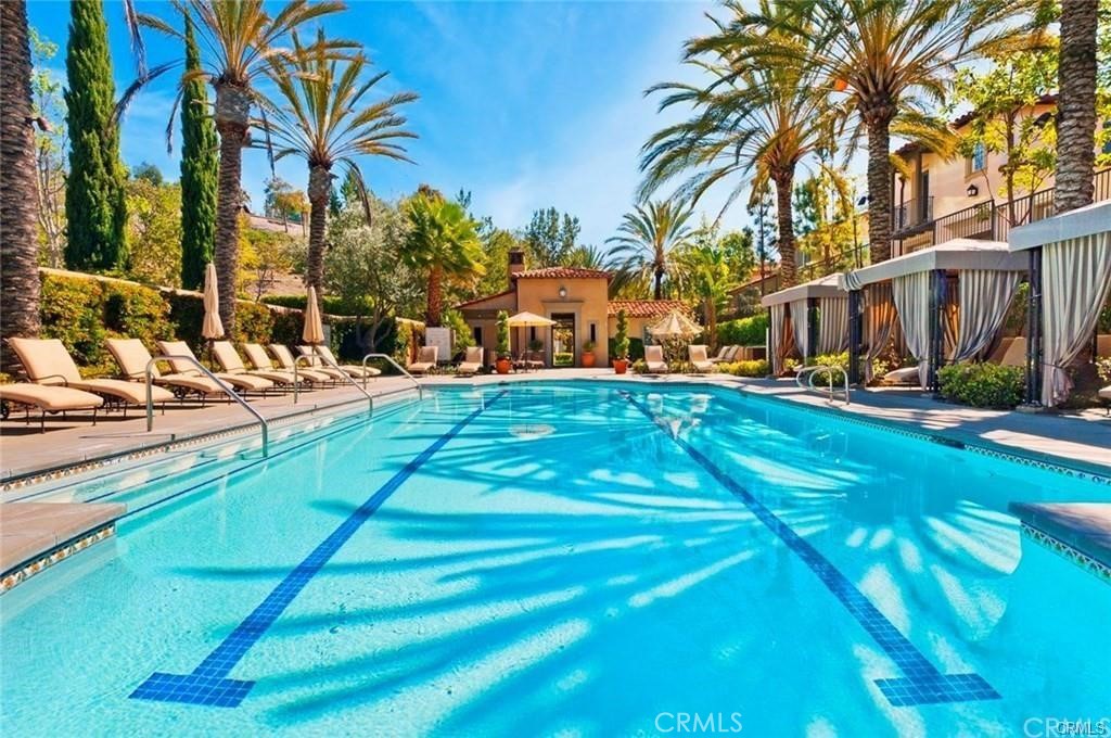 85 Canyoncrest