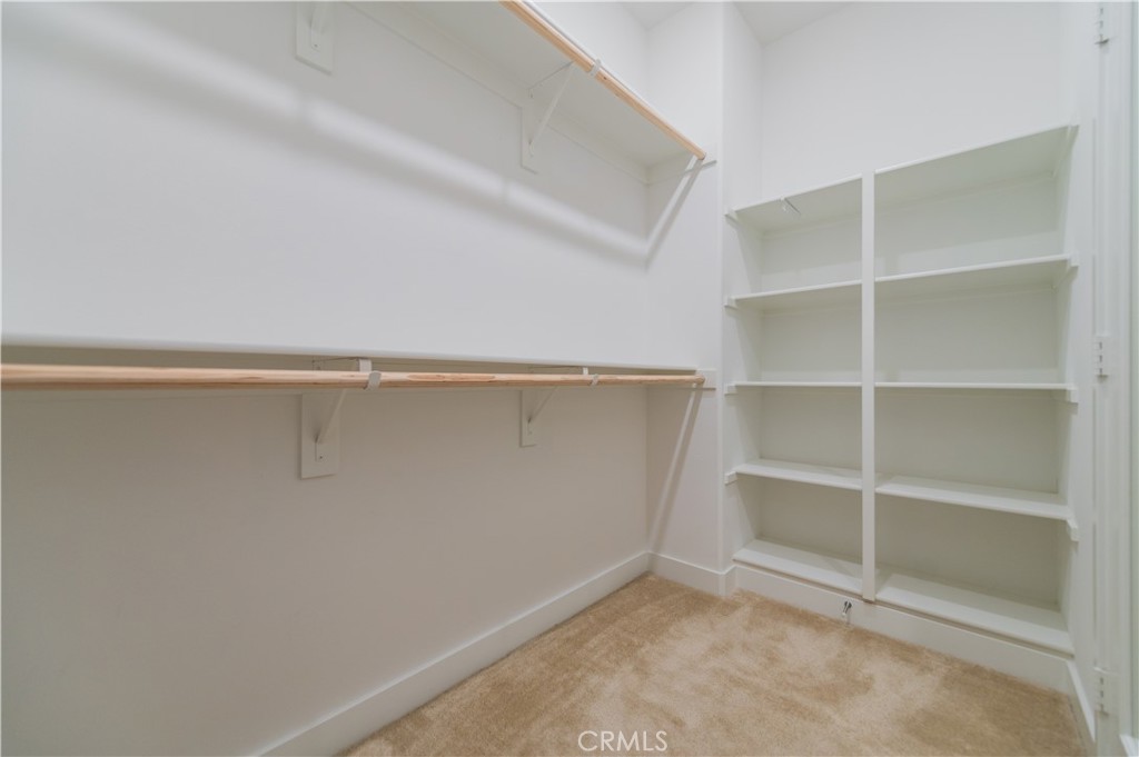 397 Trevinca