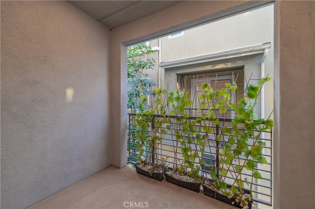 397 Trevinca