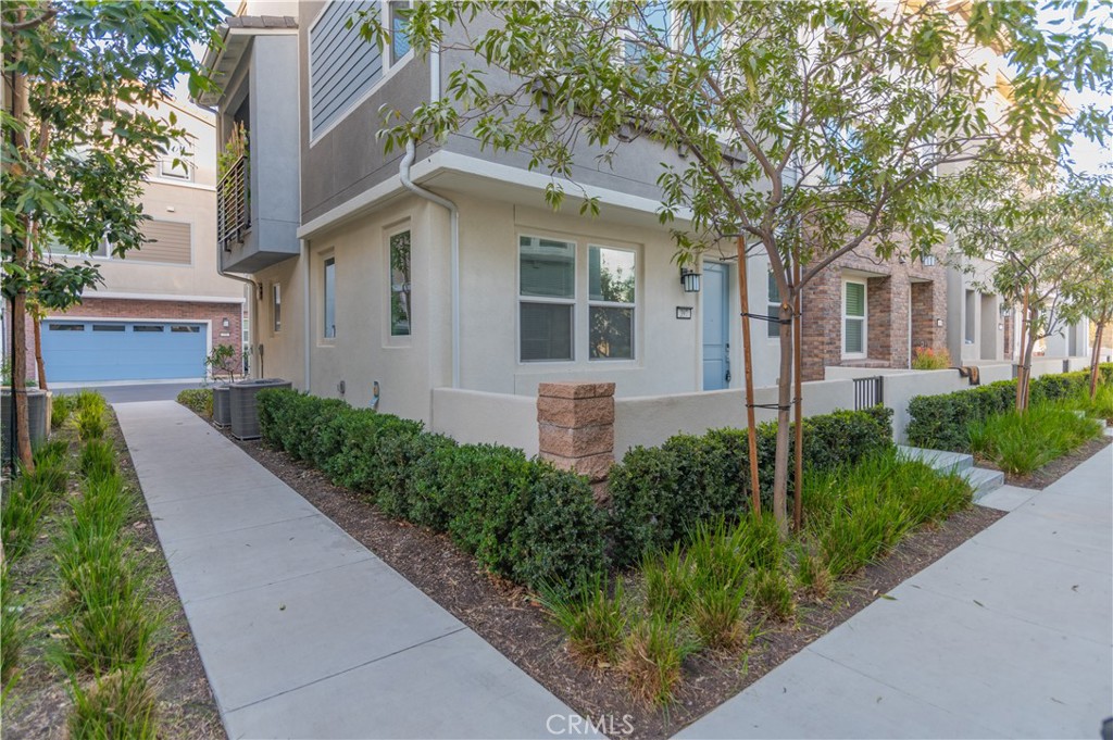 397 Trevinca