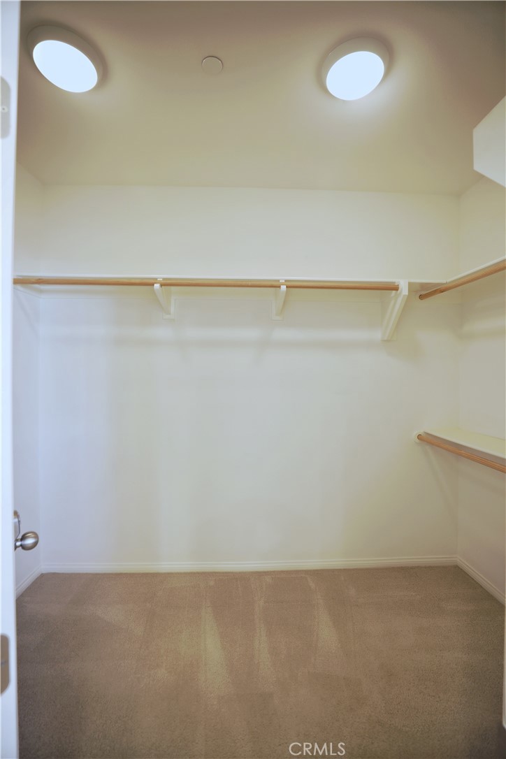 115 Mosswood