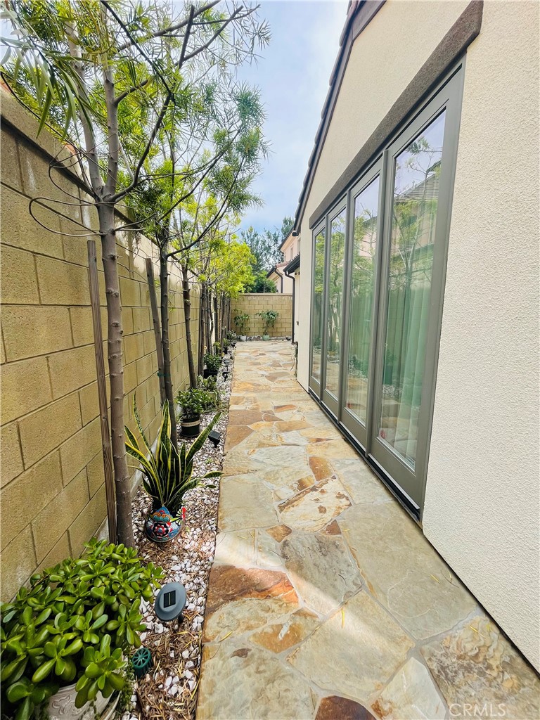 115 Mosswood