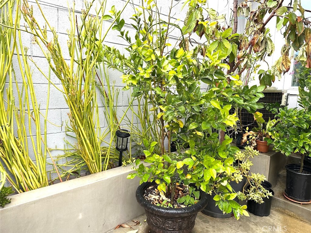 1022 Quiet Creek Lane