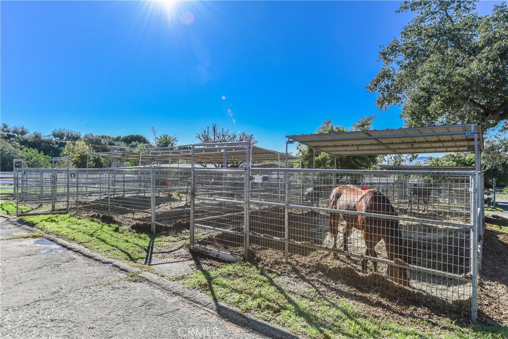 99 Bliss Canyon Road