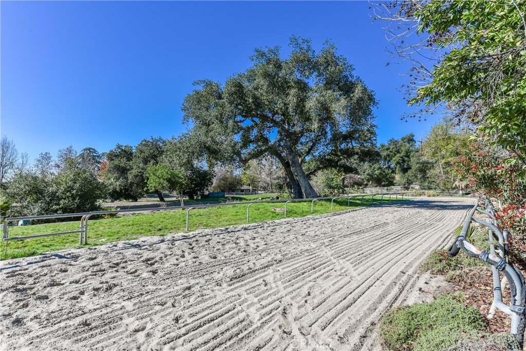 99 Bliss Canyon Road