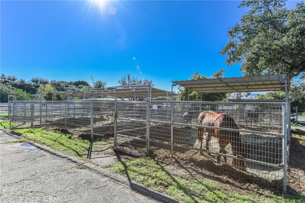 99 Bliss Canyon Road