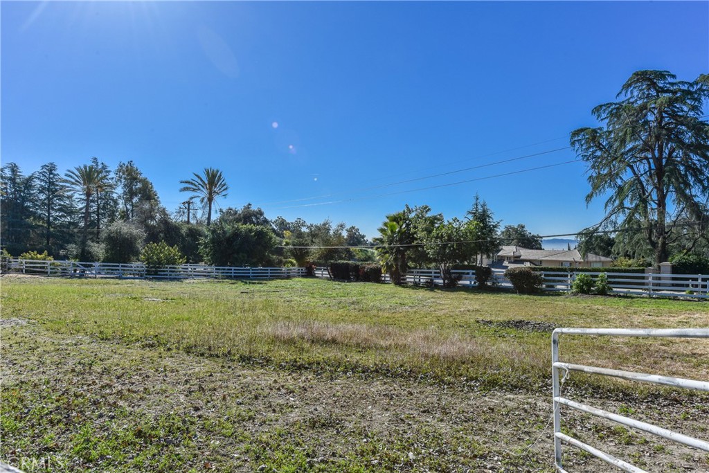 99 Bliss Canyon Road