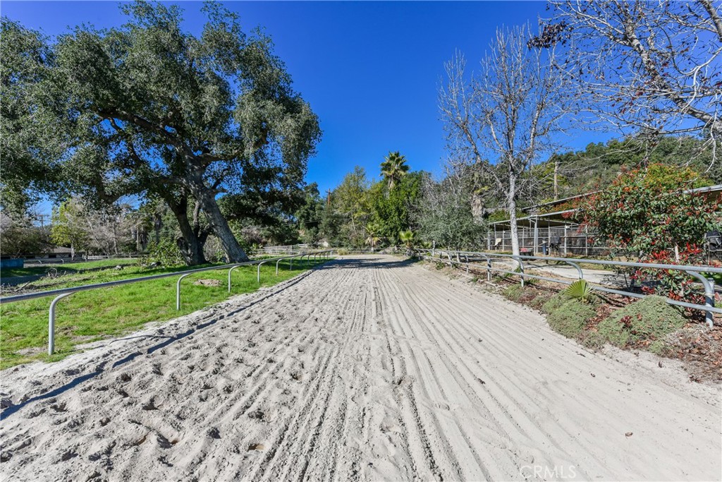 99 Bliss Canyon Road