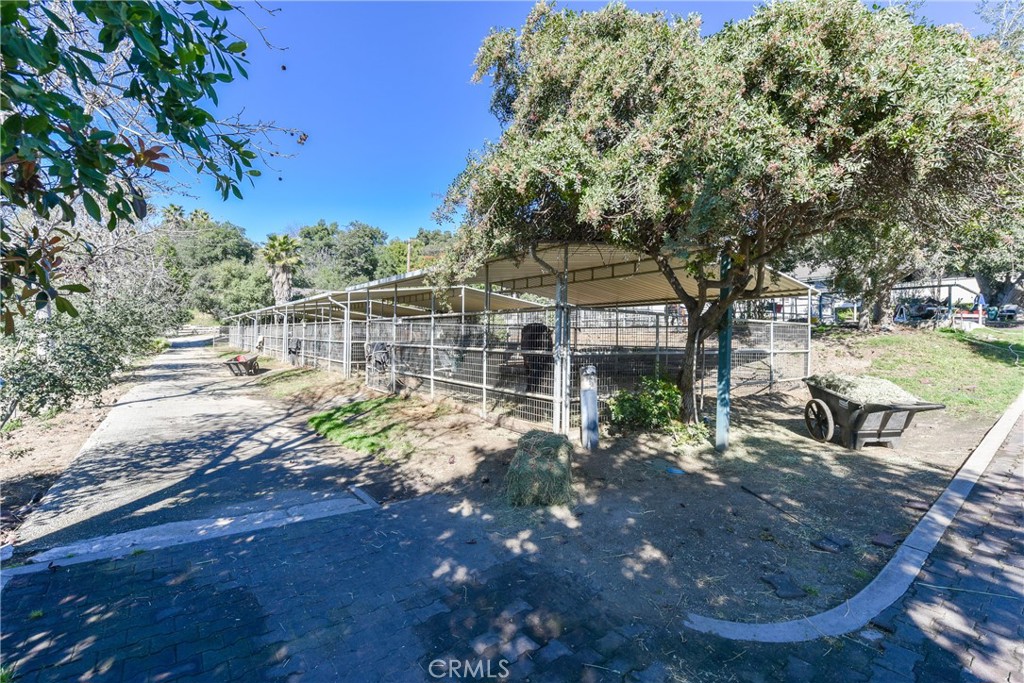 99 Bliss Canyon Road