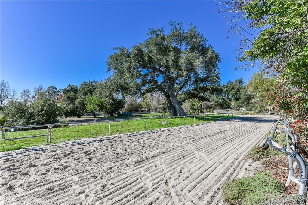 99 Bliss Canyon Road