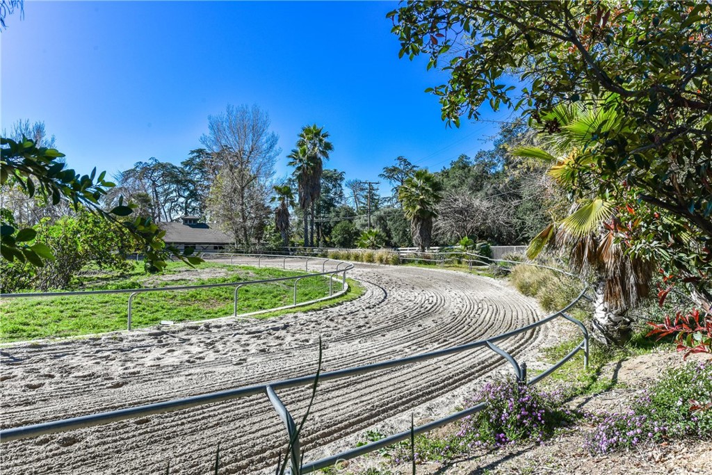 99 Bliss Canyon Road