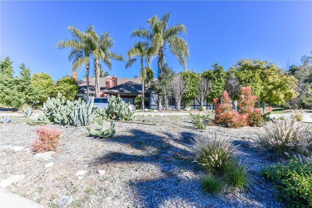 99 Bliss Canyon Road