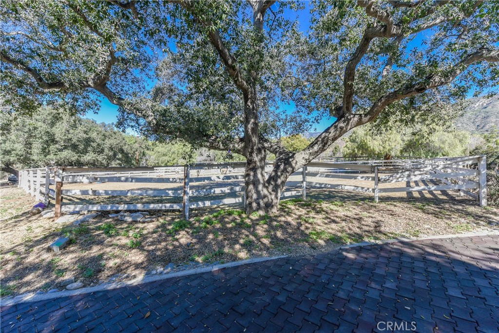 99 Bliss Canyon Road