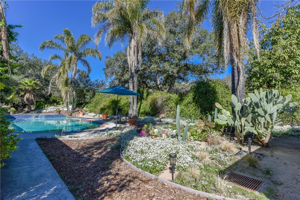 99 Bliss Canyon Road