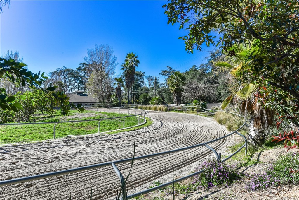 99 Bliss Canyon Road