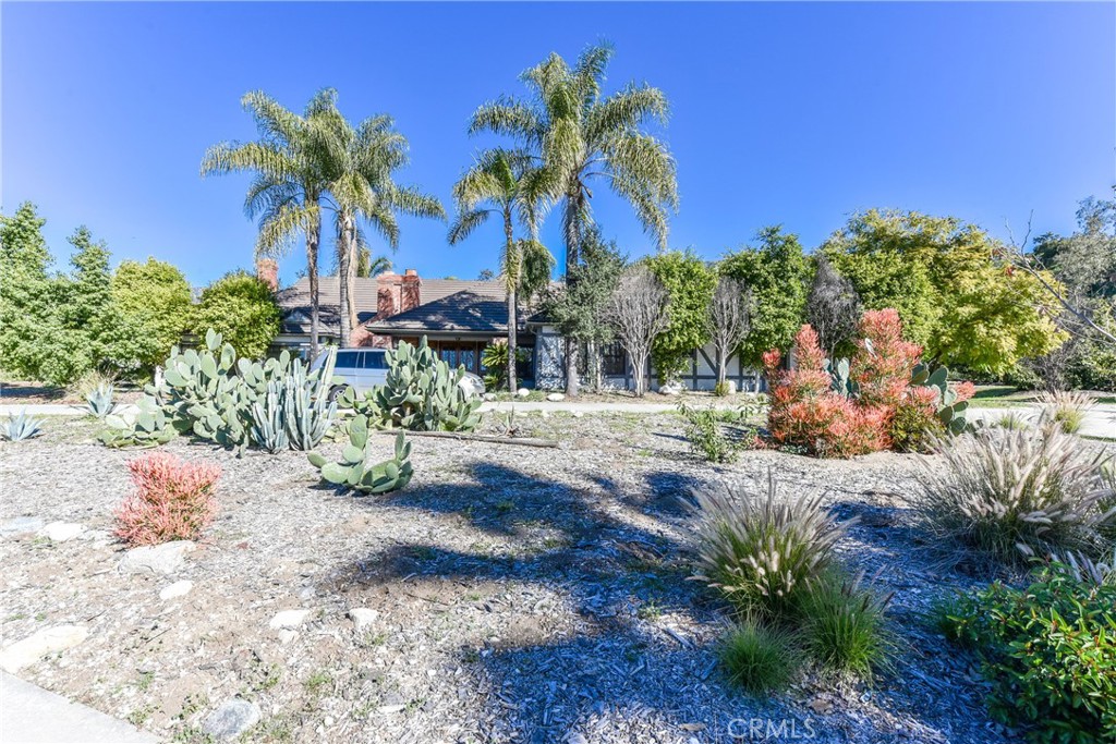 99 Bliss Canyon Road