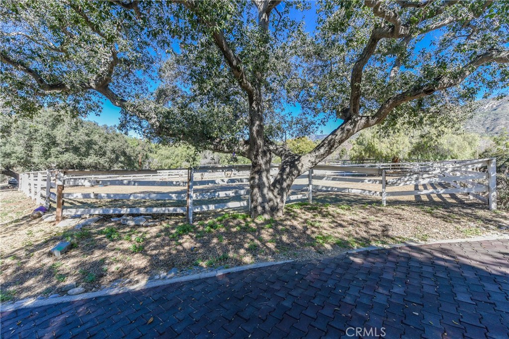 99 Bliss Canyon Road