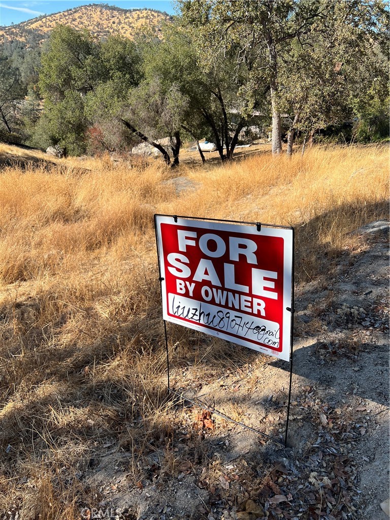 608 Deep Forest Court