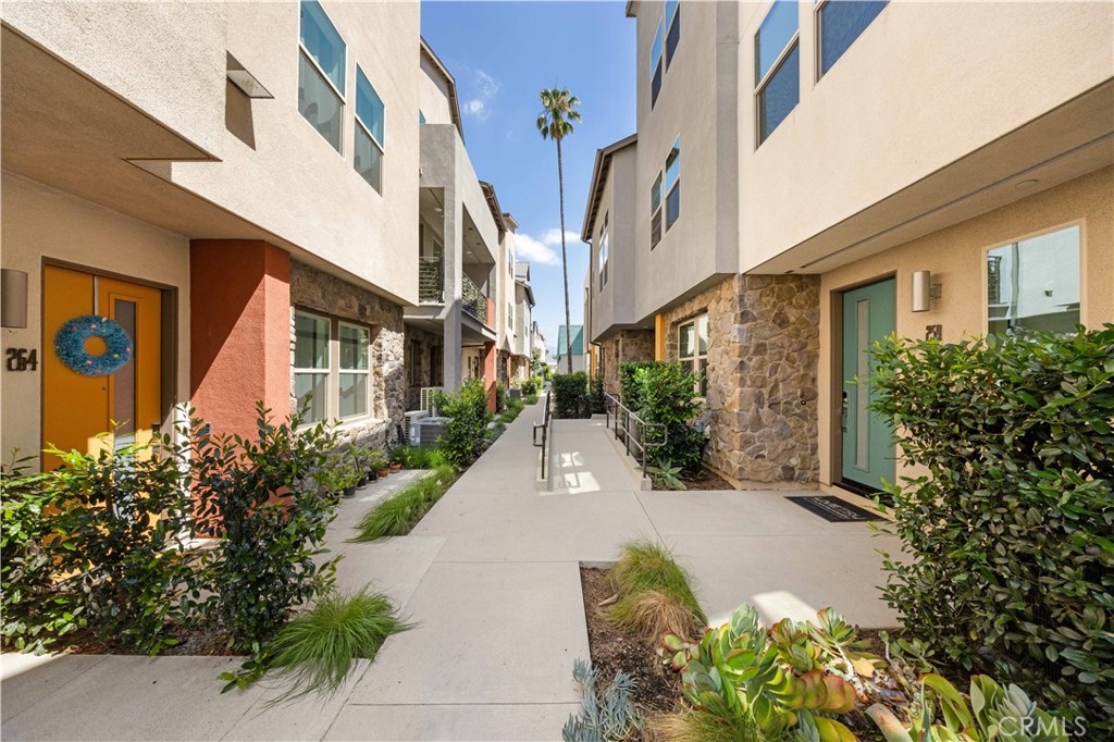 259 Pin Lane