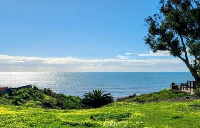 35295 Camino Capistrano