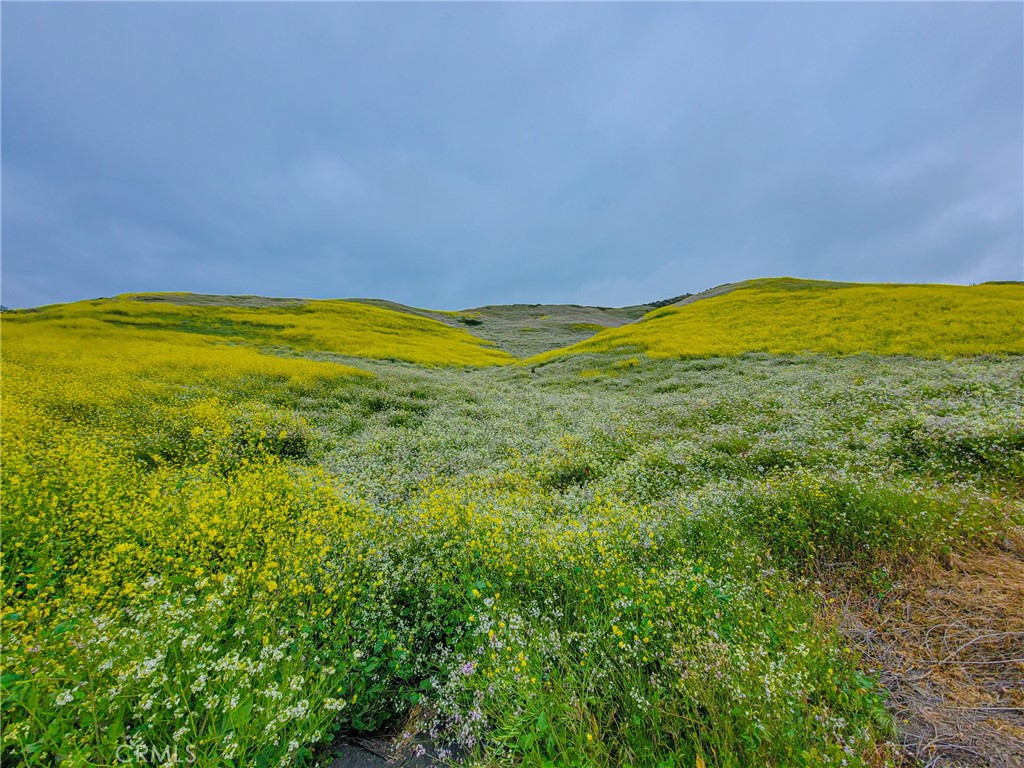 4450 Autumn Glow Court