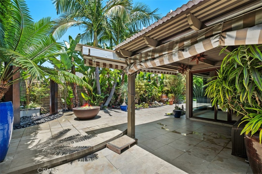 16 Banyan Tree