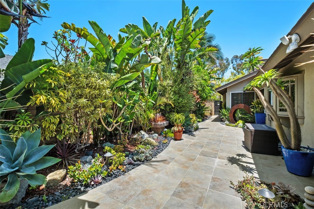 16 Banyan Tree
