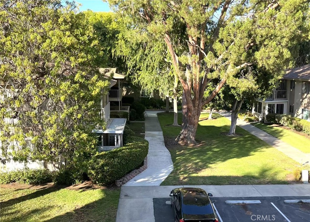 811 Ronda Mendoza P