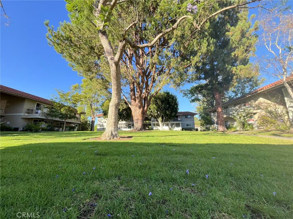 811 Ronda Mendoza P