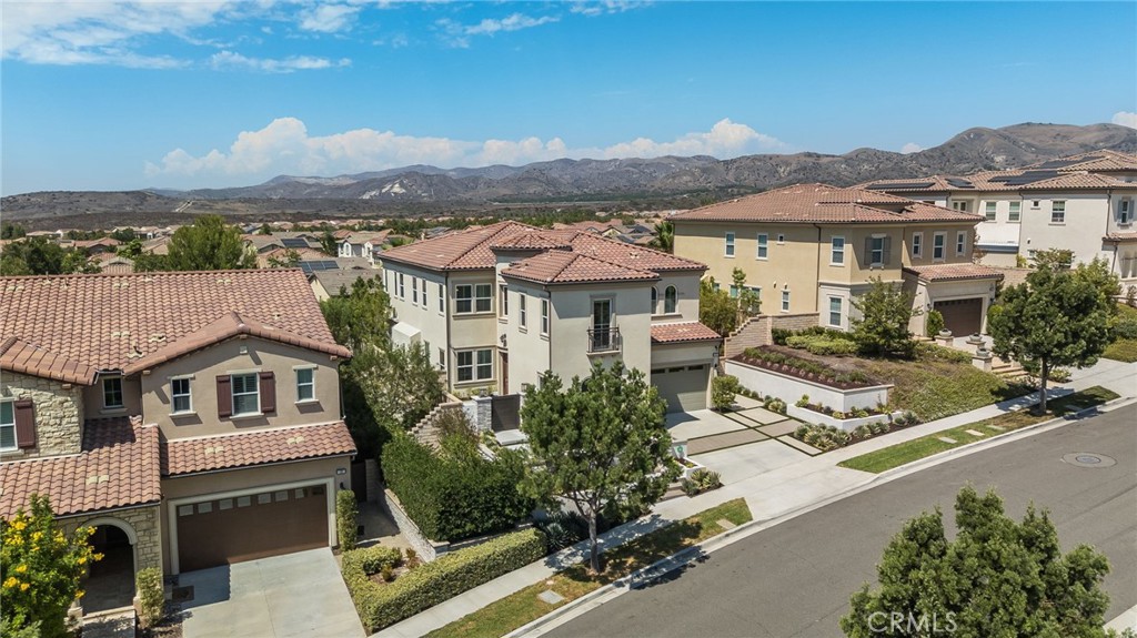 37 Barberry