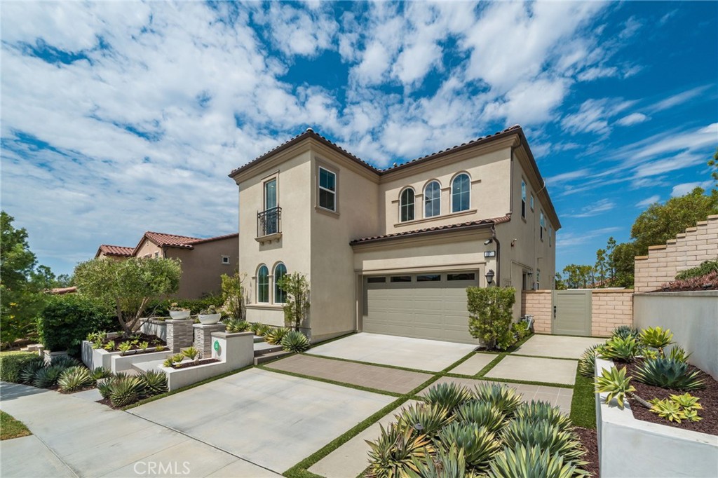 37 Barberry