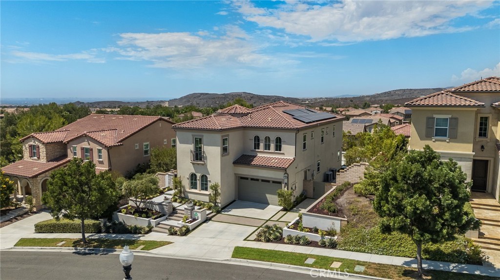 37 Barberry