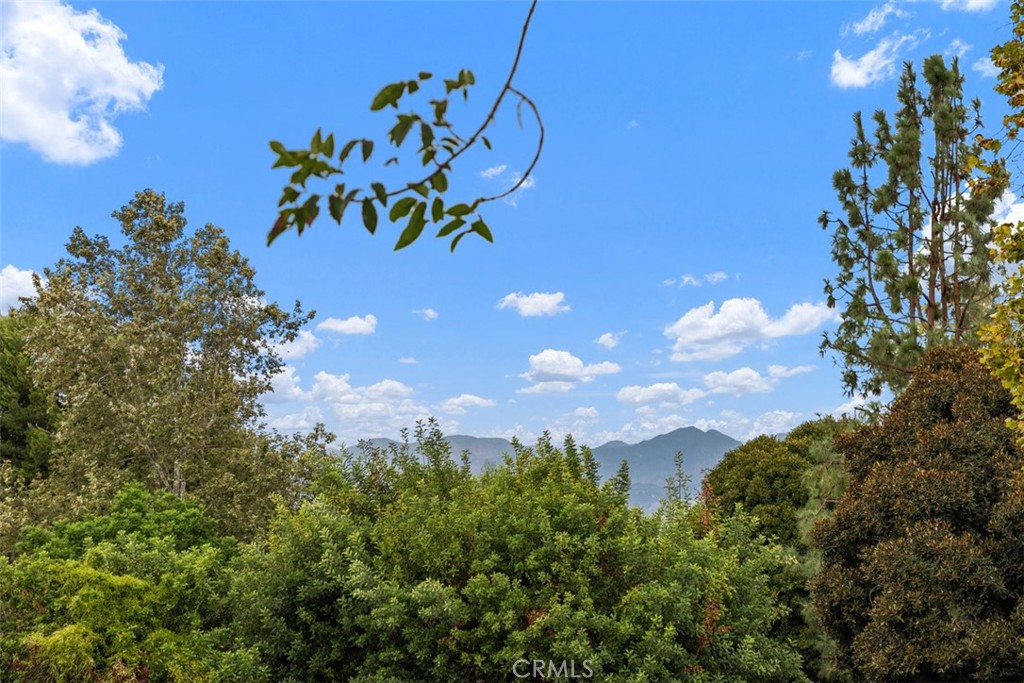 3211 Via Buena Unit B