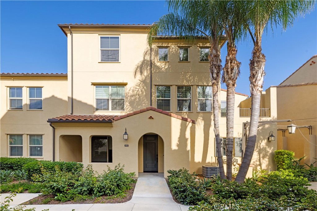 202 Borrego