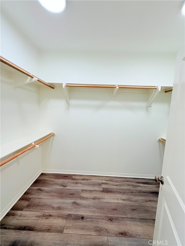 53 Rockcress