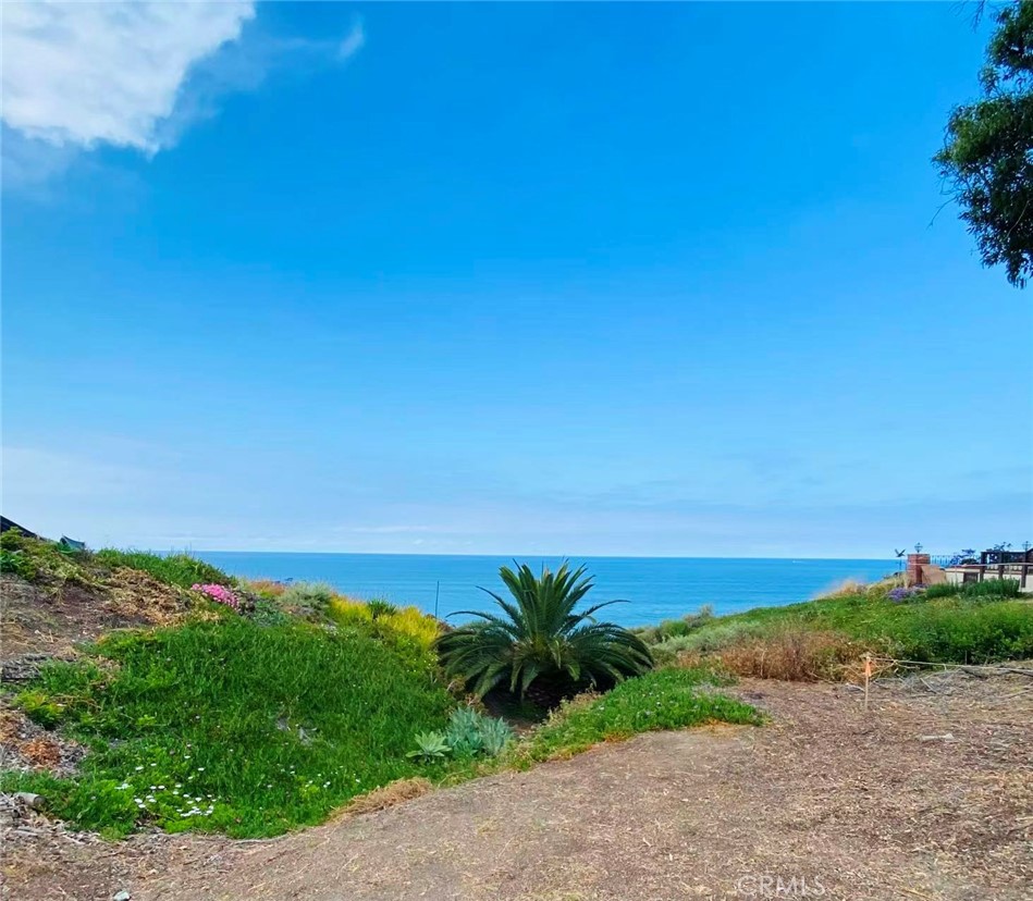 35295 Camino Capistrano