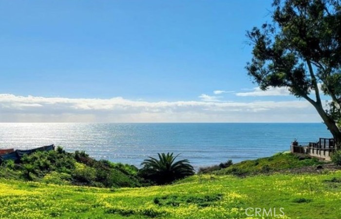 35295 Camino Capistrano